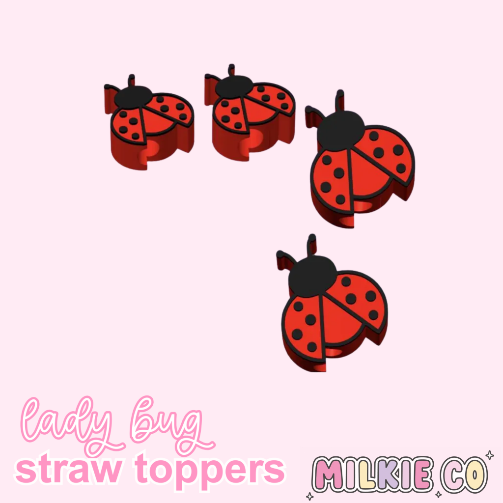 Lady Bug Straw Topper